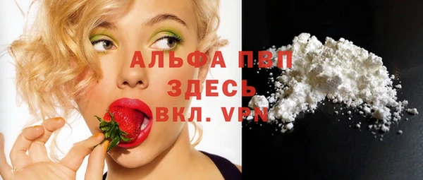 дживик Осташков