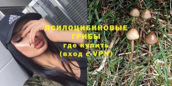 PSILOCYBIN Армянск
